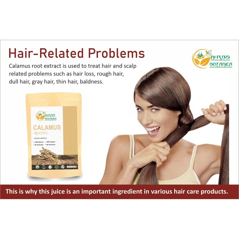 Herbs Botanica Calamus Root Loose Dried Herb For Skin, Stomach