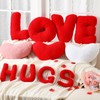 Pickmesh 11 Pcs Valentine's Day Heart Shaped Throw Pillows 11.8