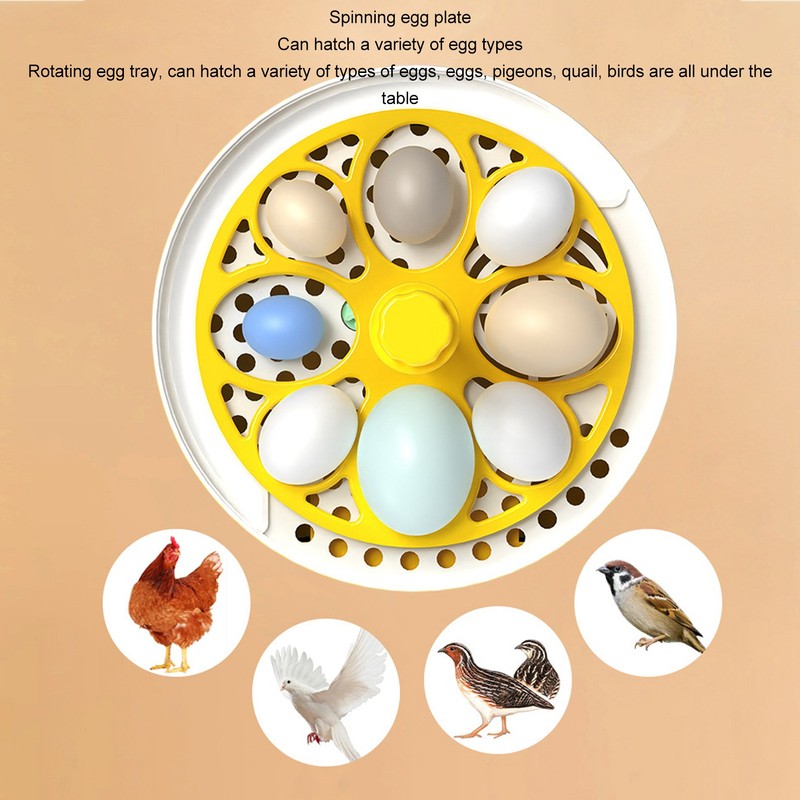 Mini Egg Incubator for Home Automatic Temperature Humidity Control 4