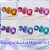 Born Pretty Cat Magnetic Eye Gel Nail Polish Glitter Auroras