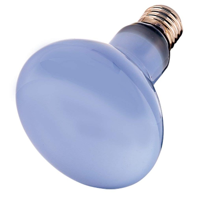 Hobby Neodymium Daylight Eco