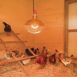 Premier Carbon Fiber Heater for Poultry and Livestock (1200 Watt)