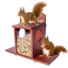 Suewidfay Squirrel Feeder with Hinged Lid, Wooden Squirrel House for Outdoor Conservatory, Outdoor and Backyard