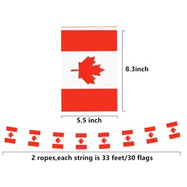 Canada Flags Canadian Small Mini String Banner Flags 66 Feet 60 Flags Miniature Canada Flags Banners For Grand Opening, Olympics Festival,Grand Opening Sports Celebration Decorations