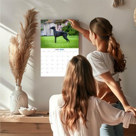2025 2026 Italian Greyhound Calendar - Dog Breed Monthly Wall Calendar - 12" x 18" Open - Thick No-Bleed Paper - Giftable - Academic Teacher's Planner Calendar Organizing & Planning - Made in USA