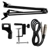 AxcessAbles USB Microphone with Desktop Boom Arm