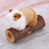 Fdit Natural Wooden Animal Tunnel Exercise Tube Chew Toy for