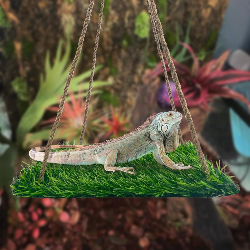 FlidRunest Large Green Bearded Dragon Hammock, Soft Bearded Dragon Hammock