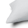 EDOW Throw Pillow Inserts, Set of 2 Lightweight Down Alternative