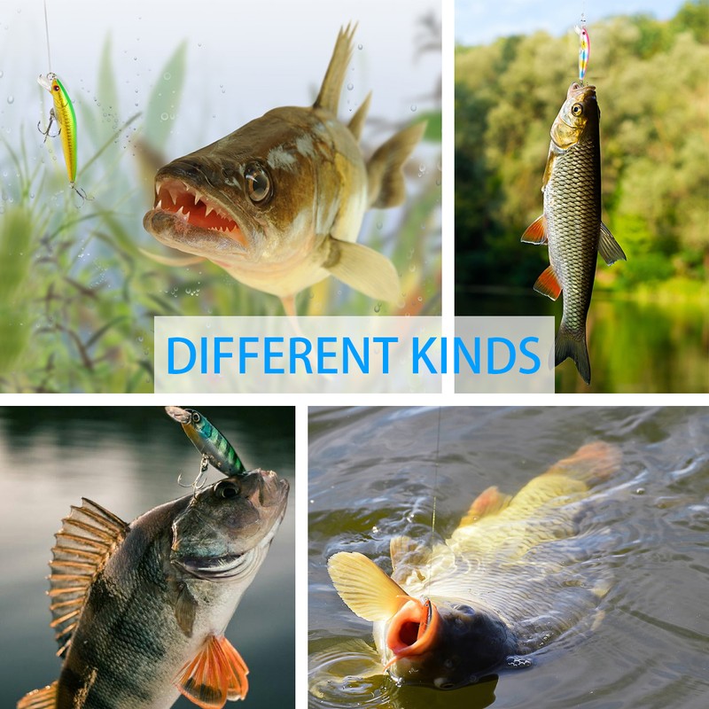 Fishing Lure Kit Saltwater Freshwater Hard Bait Lures Shallow Crankbait