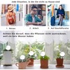 Voarge Pack of 12 Small Watering Balls, Potted Plants, Self-Watering,
