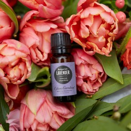 Edens Garden Lavender- Bulgarian Essential Oil- 100% Pure Premium Grade, Undiluted, Natural, Therapeutic, Aromatherapy, The Best for Diffuser, Skin, Humidifiers, Kid Safe 10 ml (.33 fl oz)