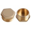 2 x brass plugs, 1 inch male thread, sealing plug