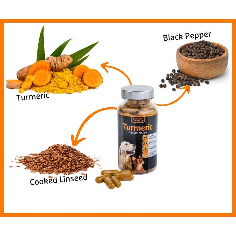 The Golden Paste Company - Natural Premium Turmeric for Dogs