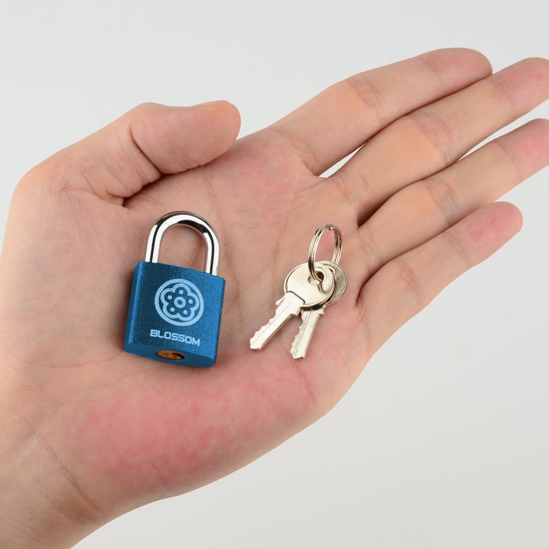 2 Pack Iron Padlock with Keys Heavy Duty Padlock High