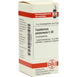 EUPATORIUM PURPUREUM C 30 Gl 10 g