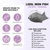Iron Fish 2 Pack, Add Natural Sources of Iron to