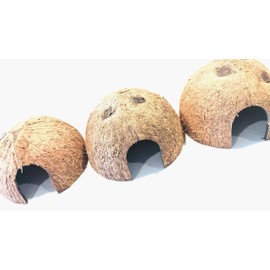 Hexagrowth 3 pc Coconut Hide, Natural Home for Guppies, Tetras, Betta Fish, Shrimp, Pleco, Perfect for Your Aquarium, Perfect Hideout for Spiders, Toad, Lizard and Small Crabs, 3 Half Shells (Small)