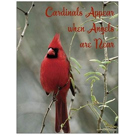 Cardinals Appear Note Cards (Set of 10) and One Refrigerator Magnet with Envelopes (10) Perfect Sympathy Note Card