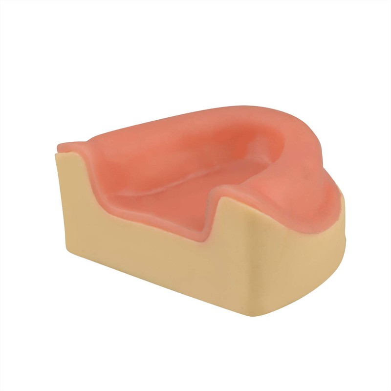 Ultrassist Dental Implant Training Maxillary Edentulous Model, Simplified Maxilla with