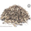Organic Echinacea Root Pure Herbal Infusion (25 Unbleached Tea Bags