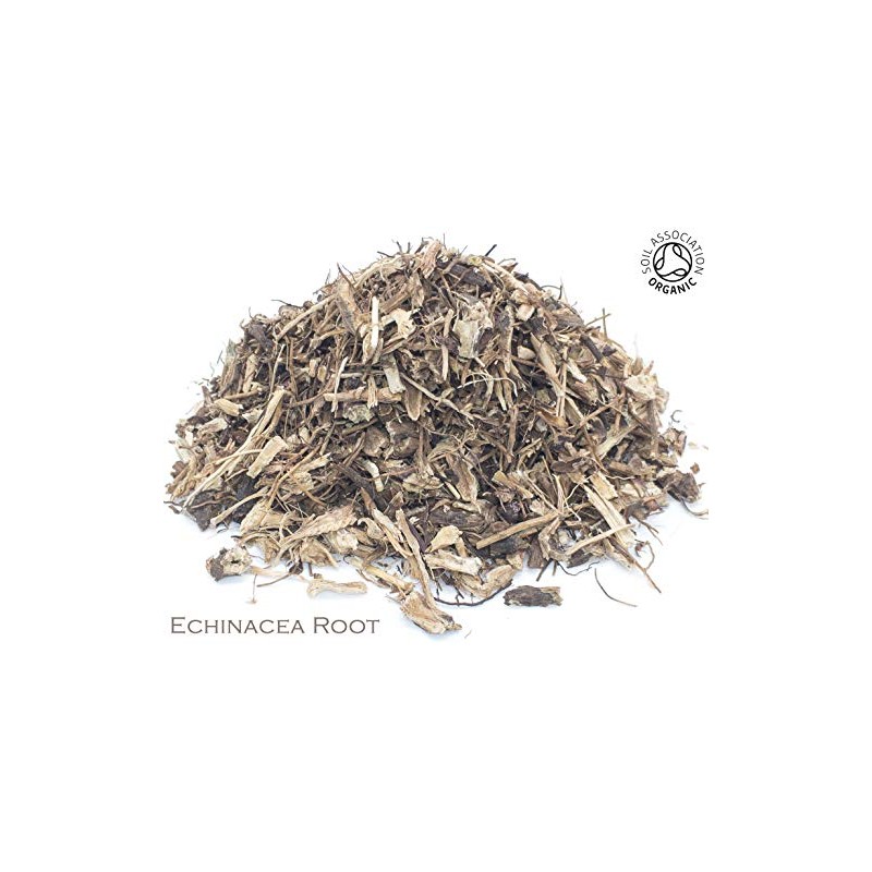 Organic Echinacea Root Pure Herbal Infusion (25 Unbleached Tea Bags