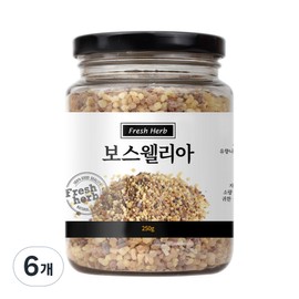 Fresh herb Boswellia, 6 pieces, 250g / 신선약초 보스웰리아, 6개, 250g