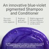 Loma Hair Care Violet Shampoo, Vanilla Bean/Blood Orange, 12 fl.