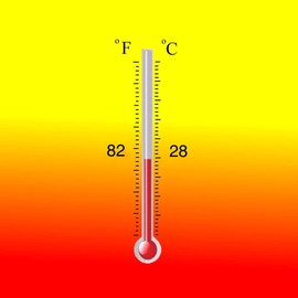 Color Changing Thermochromic Fabric Paint Body Heat Sensitive DIY Color Changing T-Shirts & Shoes Red-Yellow at 82F (28C)