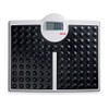 Seca 813 Robusta High Load-Bearing Capacity Electronic Flat Scale