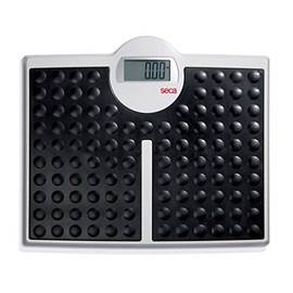 Seca 813 Robusta High Load-Bearing Capacity Electronic Flat Scale