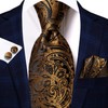 Hi-Tie Silk Paisley Ties for Men Necktie Pocket Square Cufflinks