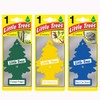 Little Trees Air Freshener, Traditional Fragrances, Pack of 3 (Packaging