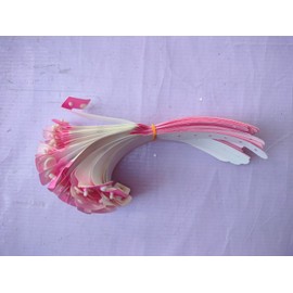 sainio Patient Identification Band for New Born Baby(Pack of 100 Pcs.) Easy to USE