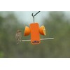 Kettle Moraine Recycled Single Oriole Orange Fruit Stick Feeder
