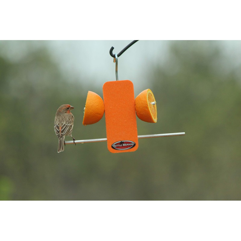Kettle Moraine Recycled Single Oriole Orange Fruit Stick Feeder