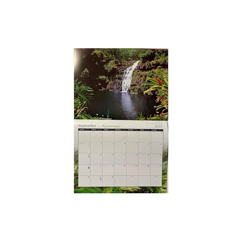 Islander Hawaii Hawaiian 2025 Twelve Month Wall Calendar (Aloha State