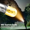Ameri 19.2 Volt bulb Flashlight/Worklight Replacement XENON Bulbs 19v for