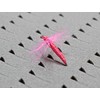 AXISCO Clear Fly Box - M Foam/KM-F