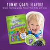Kids’ Grape-Flavored Dental Flossers, Colorful Animals add Fun to Support