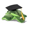 CoTa PLUSH GRADUATION - 6" PLUSH - SEA TURTLE