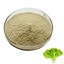 Lettuce Extract Powder 100g Sample
