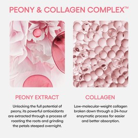 LANEIGE Bouncy and Firm Sleeping Mask: Revitalize, Smooth, Peony & Collagen Complex, Barrier-Boosting Hydration