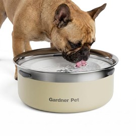 Gardner Pet - tazón de agua lenta para perros, sin derrames, diseño de placa flotante antisalpicaduras, ralentiza la bebida para reducir el desorden, 