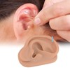 Modelo de oreja de acupuntura, réplica de oreja artificial derecha