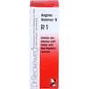 ANGINA-Gastreu S R1 Blend 22 ml
