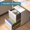 2 Drawer Metal Mobile File Cabinet Fully Assembled Rolling File