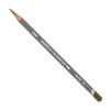 Derwent 09 Graphitint Pencil - Green Grey