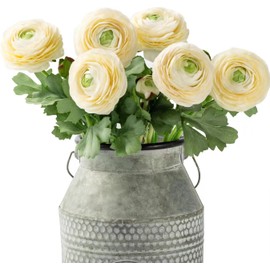 Artificial Ranunculus Flowers with Real Touch Stem, Silk Ranunculus Flowers (6 Pack) (White)