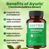 BBETTER UricUrja – Herbal Supplement with Plant-Based Extracts Traditionally Used